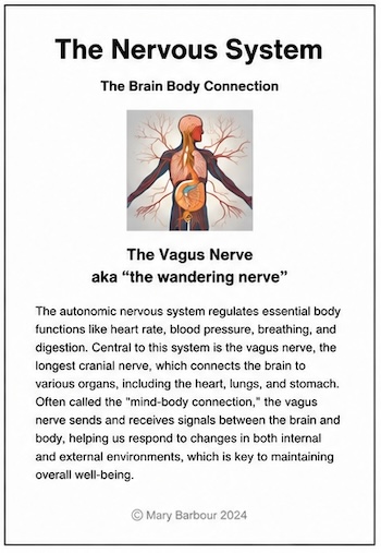 nervous_system IFS_EMDR_therapy_ketamine_therapist